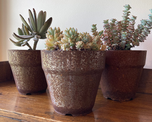 a9c7075f1b50a0777ad34518f8d4dd