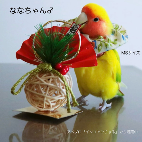 トリザベスカラー】Sサイズ エリザベスカラー インコ 鳥 リード・首輪