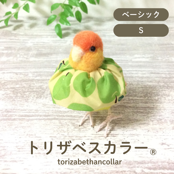 人気【トリザベスカラー】S〜Lサイズ エリザベスカラー インコ