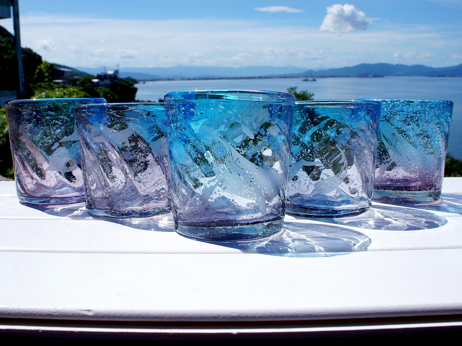 皇涼・海の仲間たち 4,898円