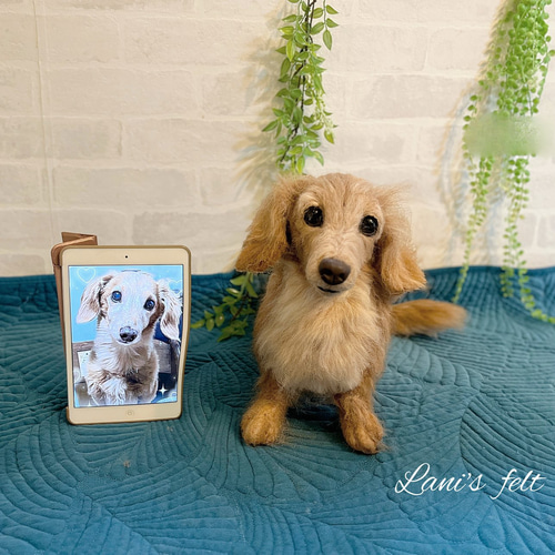 オーダー 愛犬 羊毛フェルト♡ダックス 世界でたった一つ 愛犬そっくり