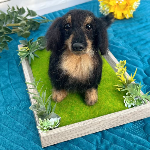 オーダー 愛犬 羊毛フェルト♡ダックス 世界でたった一つ 愛犬そっくり