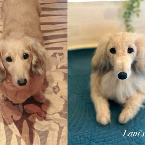 オーダー 愛犬 羊毛フェルト♡ダックス 世界でたった一つ 愛犬そっくり