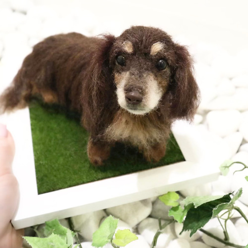 イニシャルオブジェ ✖️羊毛フェルト オーダー制 オーダー 愛犬 羊毛フェルト♡ダックス 世界でたった一つ 愛犬そっくり