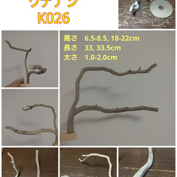 迫力の止まり木（クチナシ：TOY-23-004) K026 1枚目の画像