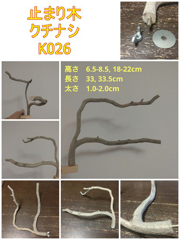 迫力の止まり木（クチナシ：TOY-23-004) K026 1枚目の画像