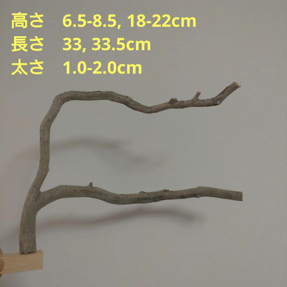 迫力の止まり木（クチナシ：TOY-23-004) K026 2枚目の画像