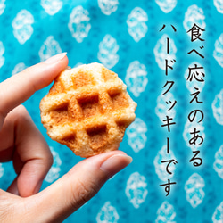 クッキー缶【ワッフル屋の手作りクッキー】 4枚目の画像