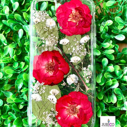 赤い薔薇とかすみ草の押し花スマホケース　全機種対応/iphone/GALAXY/AQUOS/xperia/pixel 1枚目の画像