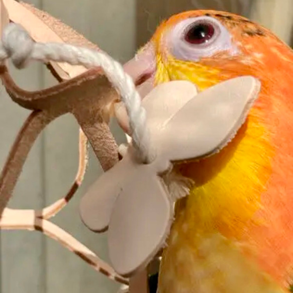 送料無料【本革】 ❤️レザー牛ヌメ革❤️ガシガシ系インコ鳥のおもちゃ【ゆりかご】 leather bird toy 13枚目の画像