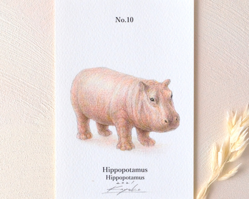 抽象動物顔 鉛筆・木炭画 Elderly elephant” “古象” Oil and acrylic on board, F80