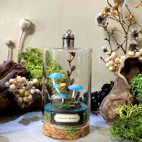 キノコ標本テラリウム 立体・オブジェ kanmuri 通販 12303441｜Creema