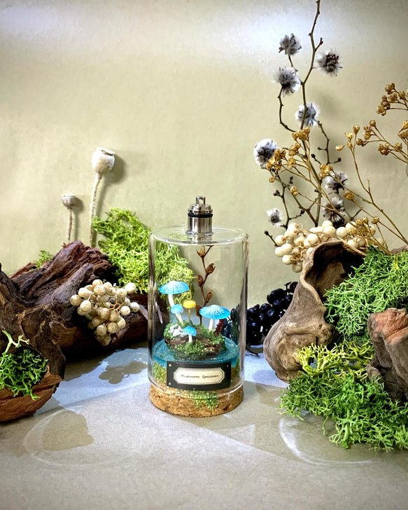 キノコ標本テラリウム 立体・オブジェ kanmuri 通販 12303441｜Creema