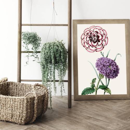 NO.180】紫色セントポーリアの花アートポスター☆植物絵画