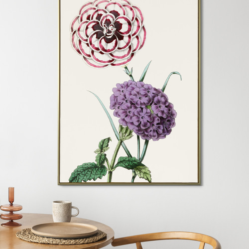 絵画 フラワー フラワーインテリア ボタニカル 花の絵 花柄 花 立体絵 ボタニカルアート カラー 植物画 絵画 Zinnia 通販 12466584