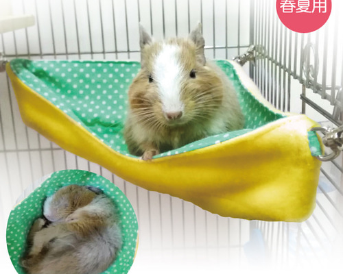 デグー クッション ベッド 2点 小動物 ハムスター チンチラ デグー マット クッション 2枚