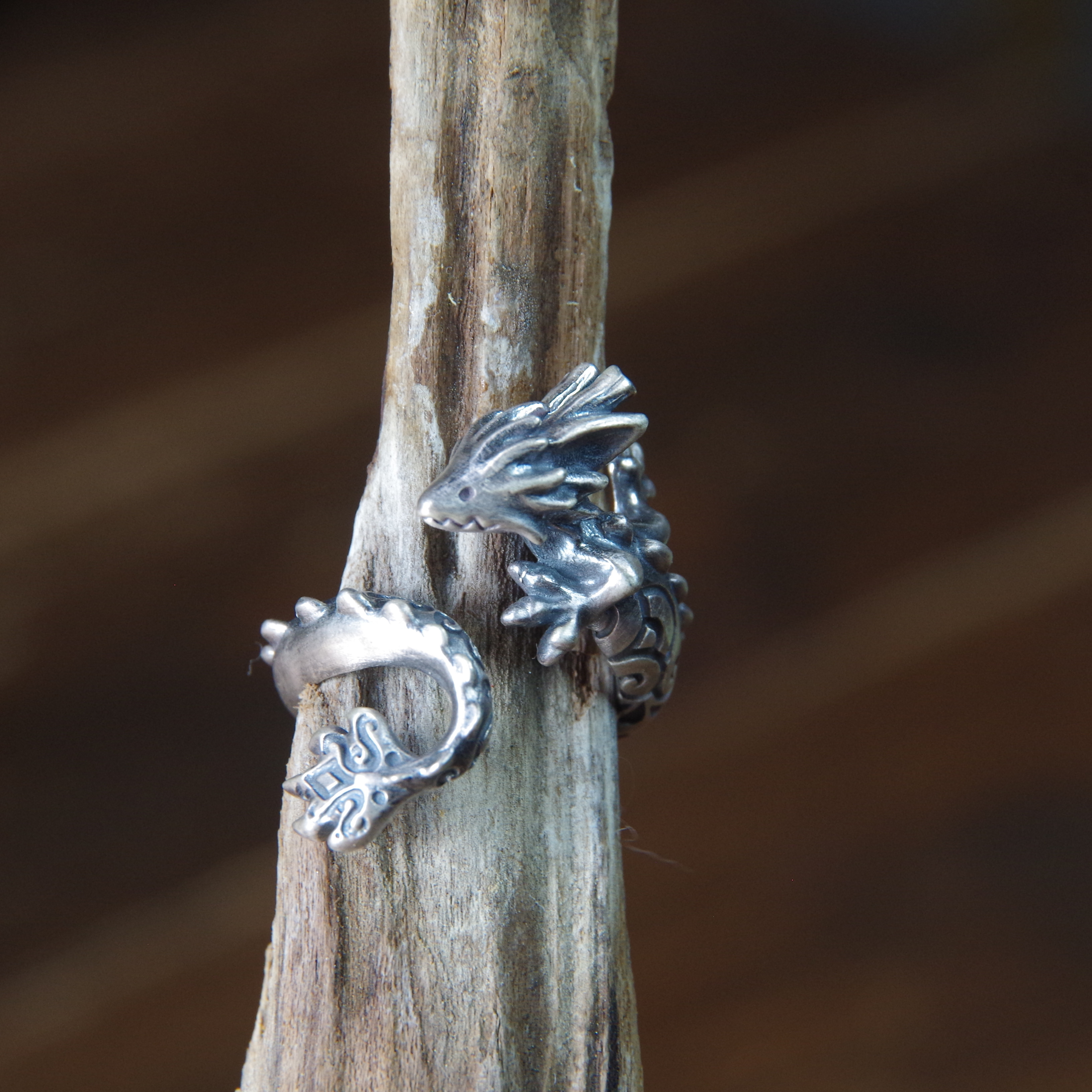 リュウのリング