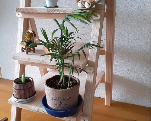 70a9cbd259854e9c96ec2b1379bcf7