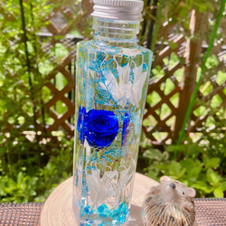 青薔薇とエアファーンのハーバリウム 4枚目の画像