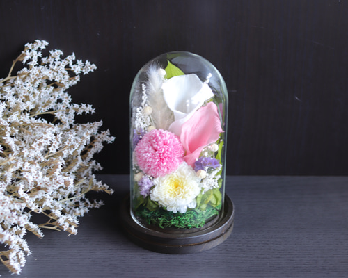 プリザーブドフラワー仏花対ガラスドーム大輪菊 プリザーブドフラワー