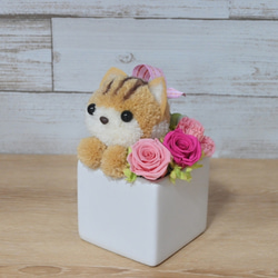 もこペット【猫・茶】プリザーブドフラワー アレンジメント ねこ 花 ペット 母の日 誕生日 お供え 3枚目の画像