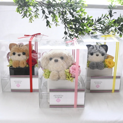 もこペット【猫・茶】プリザーブドフラワー アレンジメント ねこ 花 ペット 母の日 誕生日 お供え 7枚目の画像