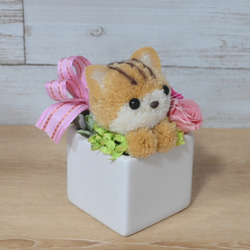 もこペット【猫・茶】プリザーブドフラワー アレンジメント ねこ 花 ペット 母の日 誕生日 お供え 5枚目の画像