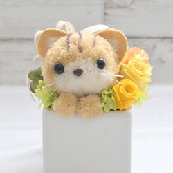 もこペット【猫・茶】プリザーブドフラワー アレンジメント ねこ 花 ペット 母の日 誕生日 お供え 2枚目の画像