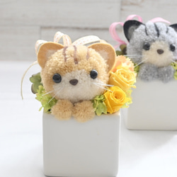 もこペット【猫・茶】プリザーブドフラワー アレンジメント ねこ 花 ペット 母の日 誕生日 お供え 6枚目の画像