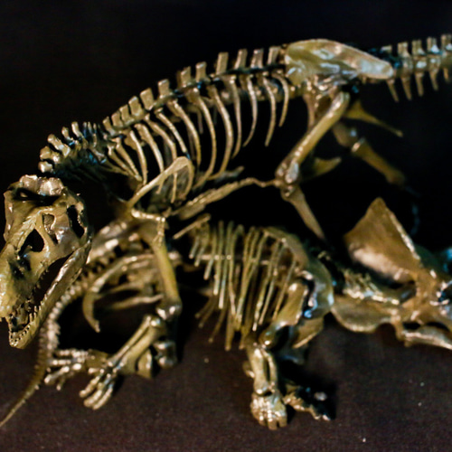受注生産】【約33cm】 ティラノサウルス と トリケラトプス 縮小