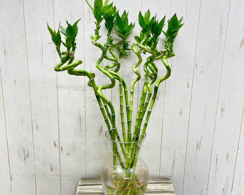 2025b55701431e9374fc00c6f8827d