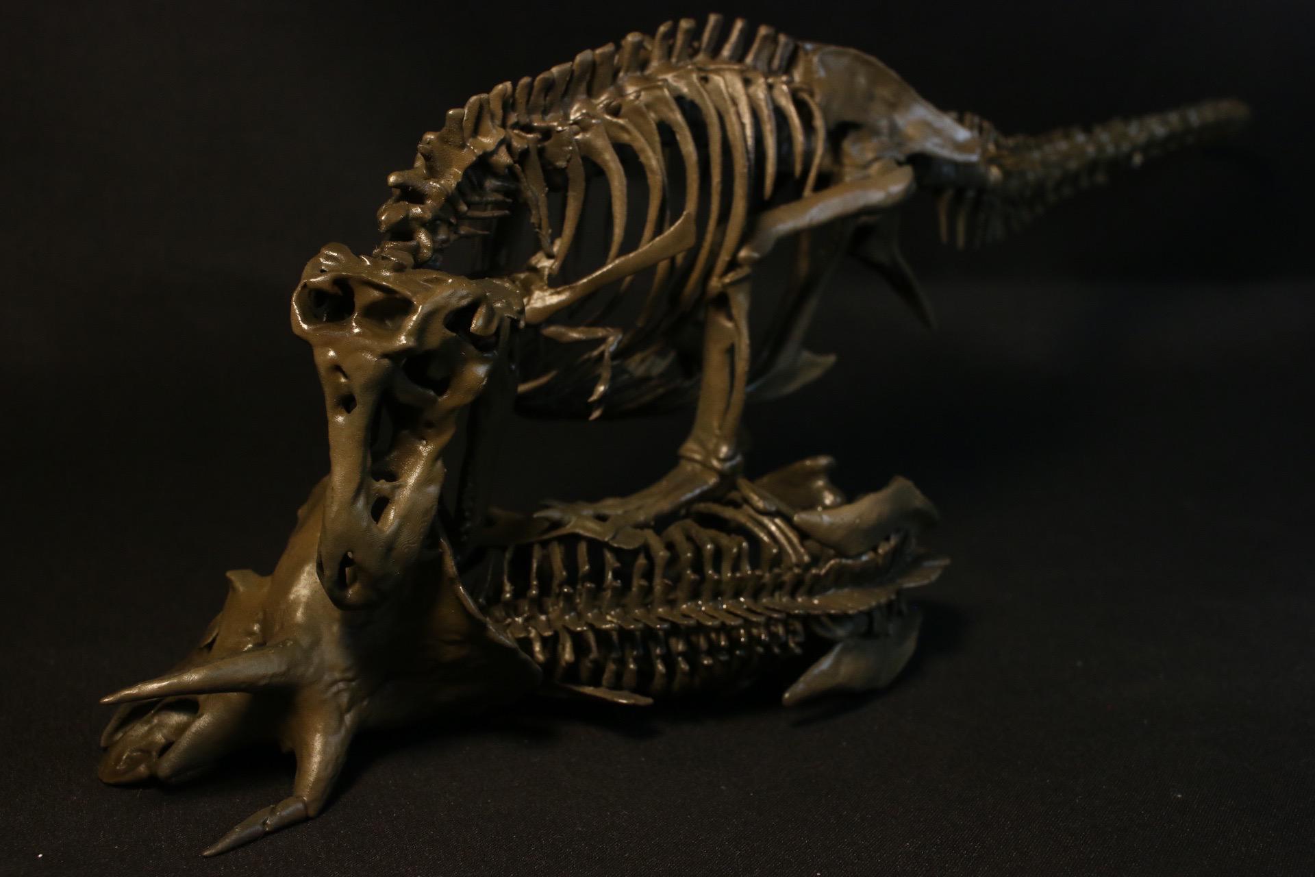 恐竜の頭部模型 Amazon.co.jp: TOPPERFUN 樹脂製 恐竜の頭蓋骨模型 精巧な