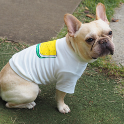 わんちゃん用すいかＴシャツ Yellow 犬 DOG わんこ 2枚目の画像