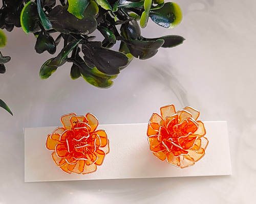 945646626a6d2430cb617cb0b67486