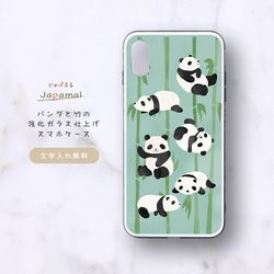 こパンダ　ガラスケース パンダコパンダ マルチクリアケース PAPANDA グリーン