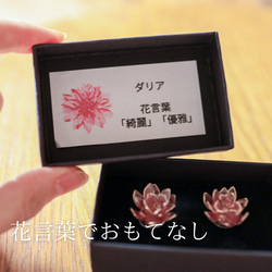 【九月誕生月花】大麗花耳環/耳環 秋花 第14張的照片