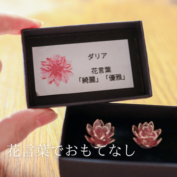 【九月誕生月花】大麗花耳環/耳環 秋花 第14張的照片