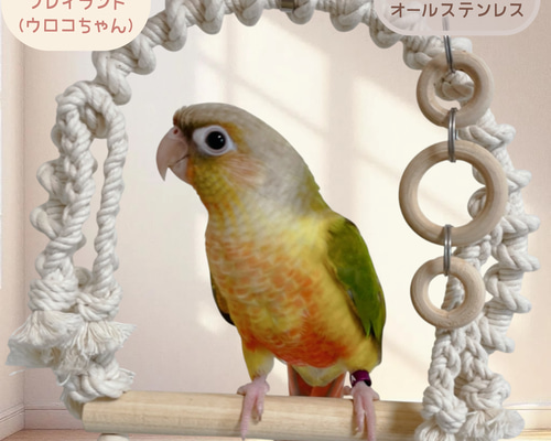 どんぐりアート　インコのブランコ＊Welcome壁飾り 安全で安心《とりさんのプレイランド》ML中間サイズ☆*°鳥ブランコ