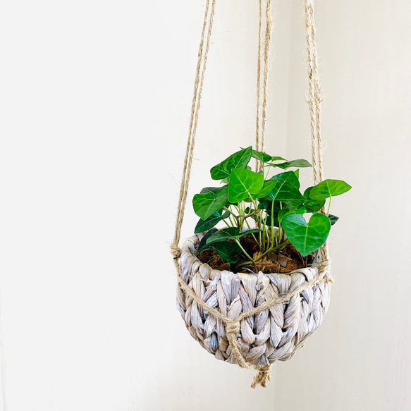 吊り下げて飾ろう『シュガーバイン』『ハートアイビーアイビー』ナチュラルバスケット　壁掛け　観葉植物　インテリア 5枚目の画像