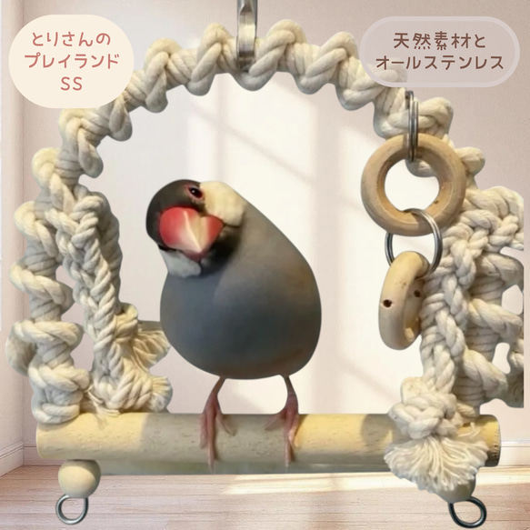 安全で安心《とりさんのプレイランド》SSサイズ☆*°文鳥ブランコ 鳥