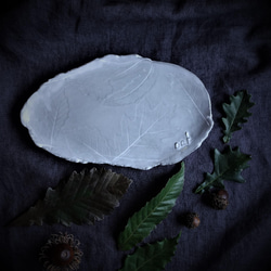 生植物 プレートL・オーク　デザート皿 フルーツ皿 アクセサリートレー 陶器  洋食器 ギフト陶磁器 1枚目の画像