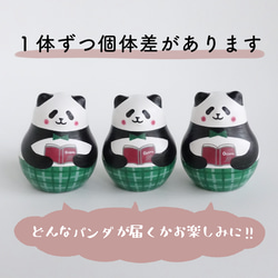 秋色パンダ《読書の秋》 11枚目の画像