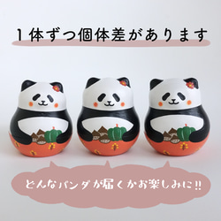 秋色パンダ《収穫の秋》 11枚目の画像