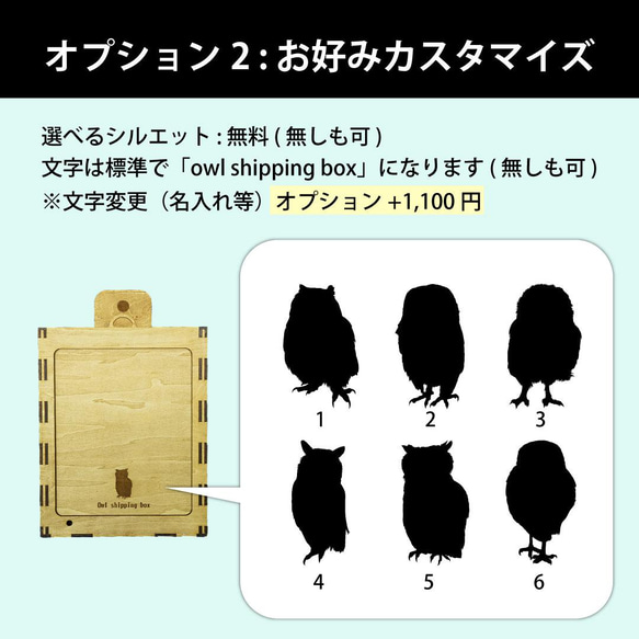 新型 ふくろう用輸送箱（キャリーケース） 「Owl shipping box」XLサイズ　猛禽 6枚目の画像