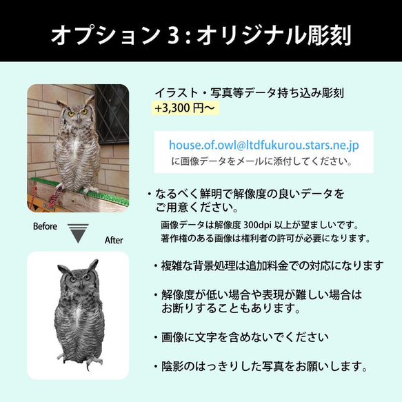 新型 ふくろう用輸送箱（キャリーケース） 「Owl shipping box」XLサイズ　猛禽 7枚目の画像