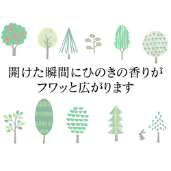  第4張的照片
