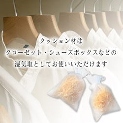  第11張的照片