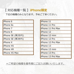 iPhone限定 スマホケース ベルト付きTPUケース 【 スモーキーカラー 名入れ 】 ニュアンス OS02U 6枚目の画像
