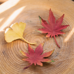 秋色 紅葉 ブローチ 6枚目の画像