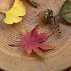 秋色 紅葉 ブローチ 8枚目の画像